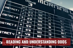 Bettor's Guide - Reading Odds